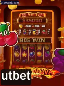 Descubra o Universo de FruitNovaSuper: Descrição, Introdução e Regras do Jogo